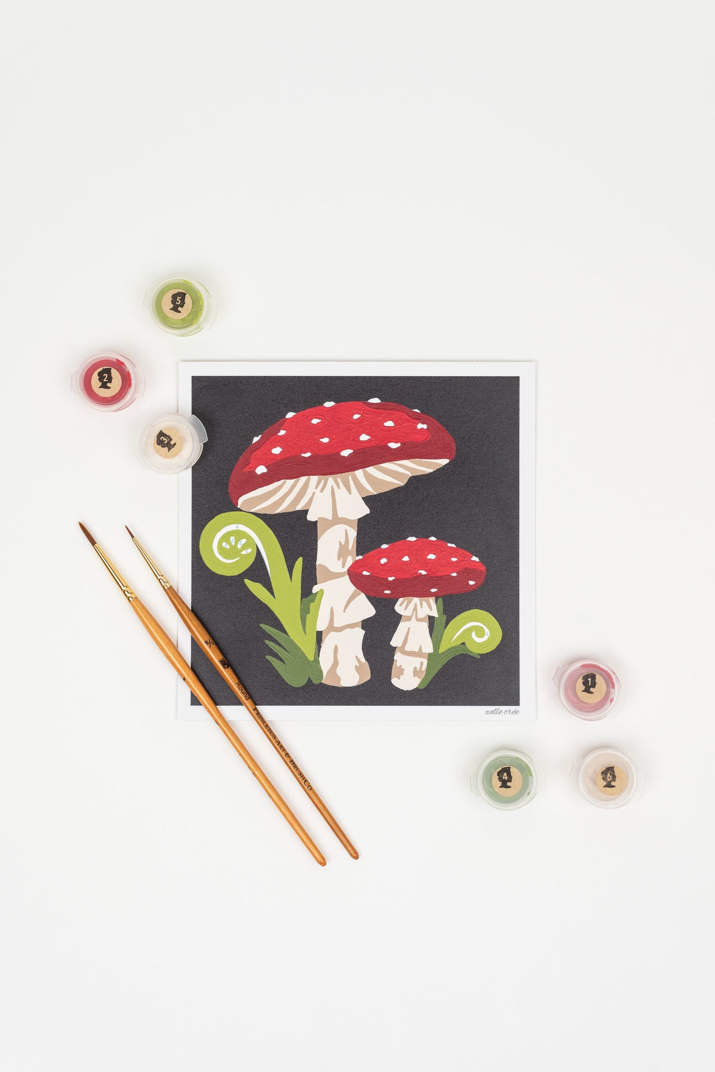 Paint-by-number kits