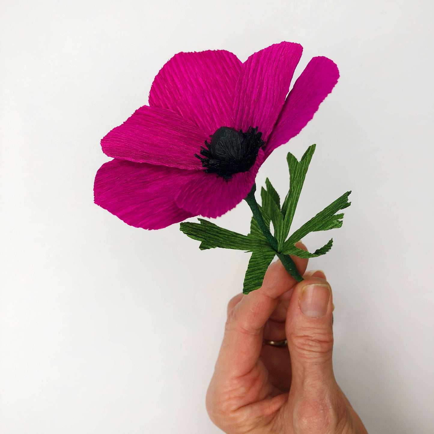 Paper Flower Kit - Anemone