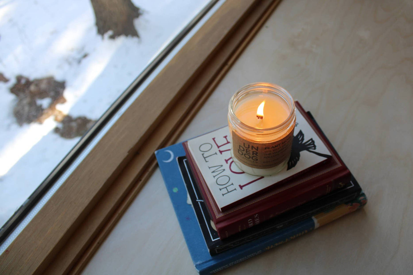 Candle: Obstinate, Headstrong Girl (shea butter + cedar)
