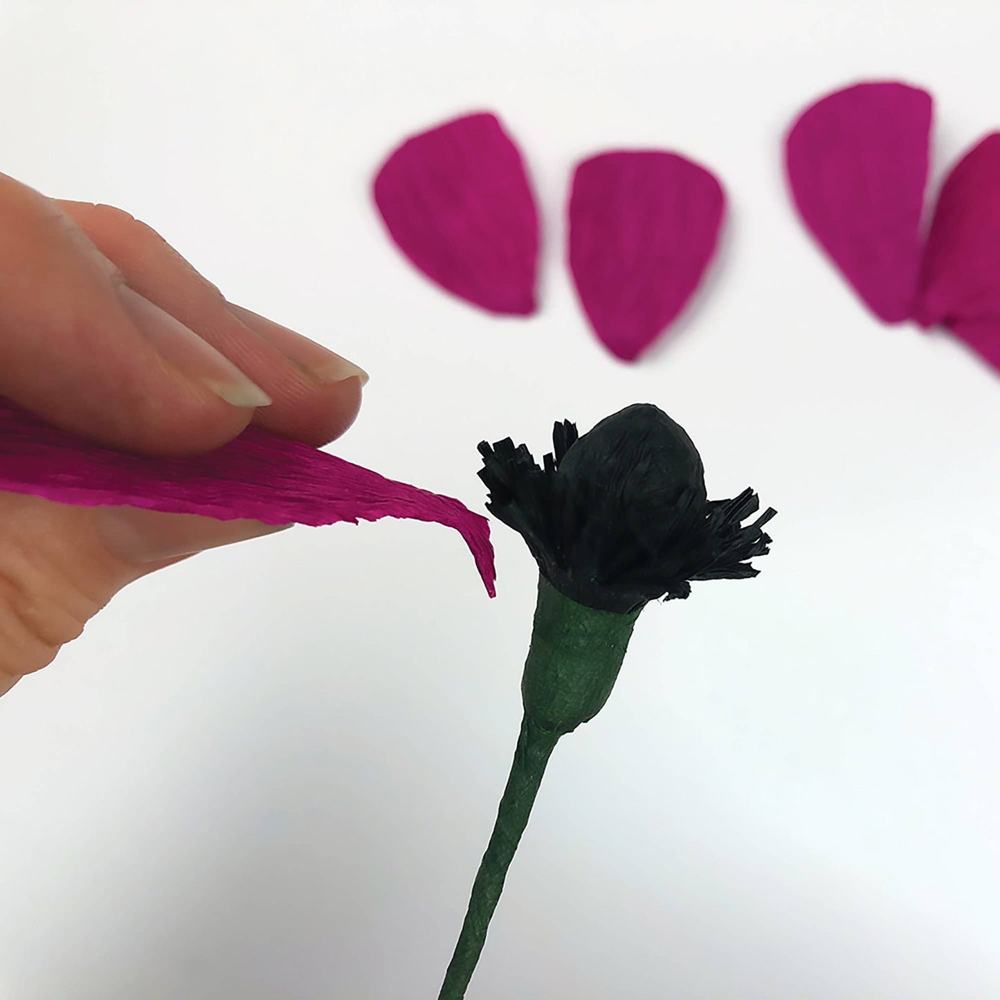 Paper Flower Kit - Anemone
