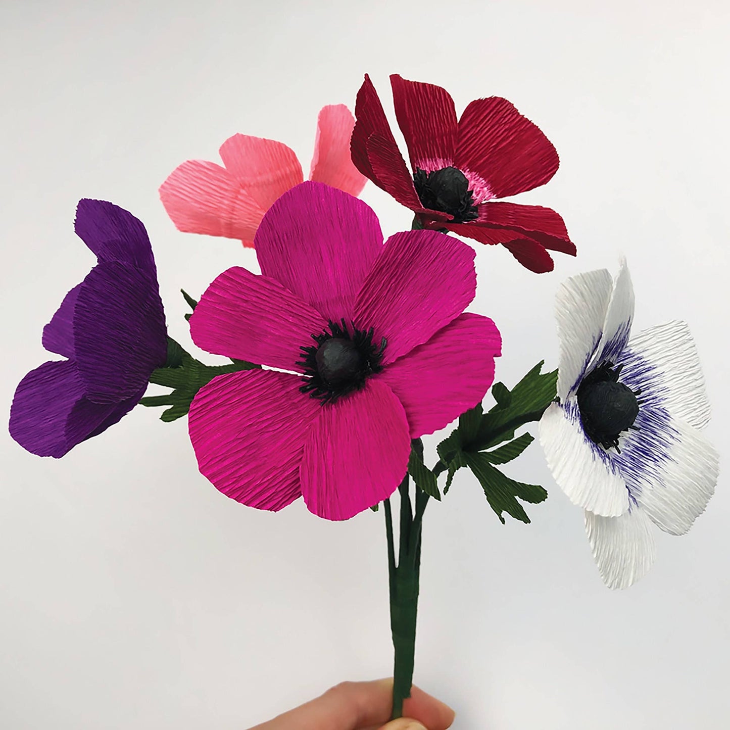 Paper Flower Kit - Anemone