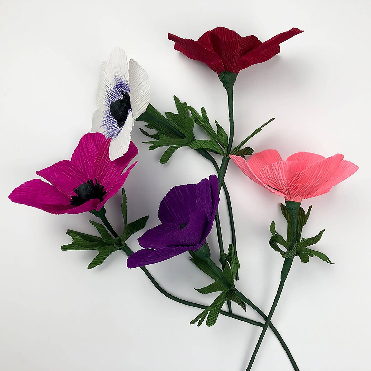 Paper Flower Kit - Anemone
