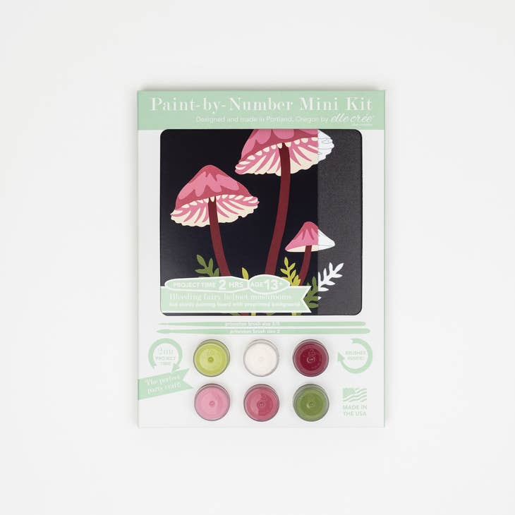 Paint-by-number MINI kits