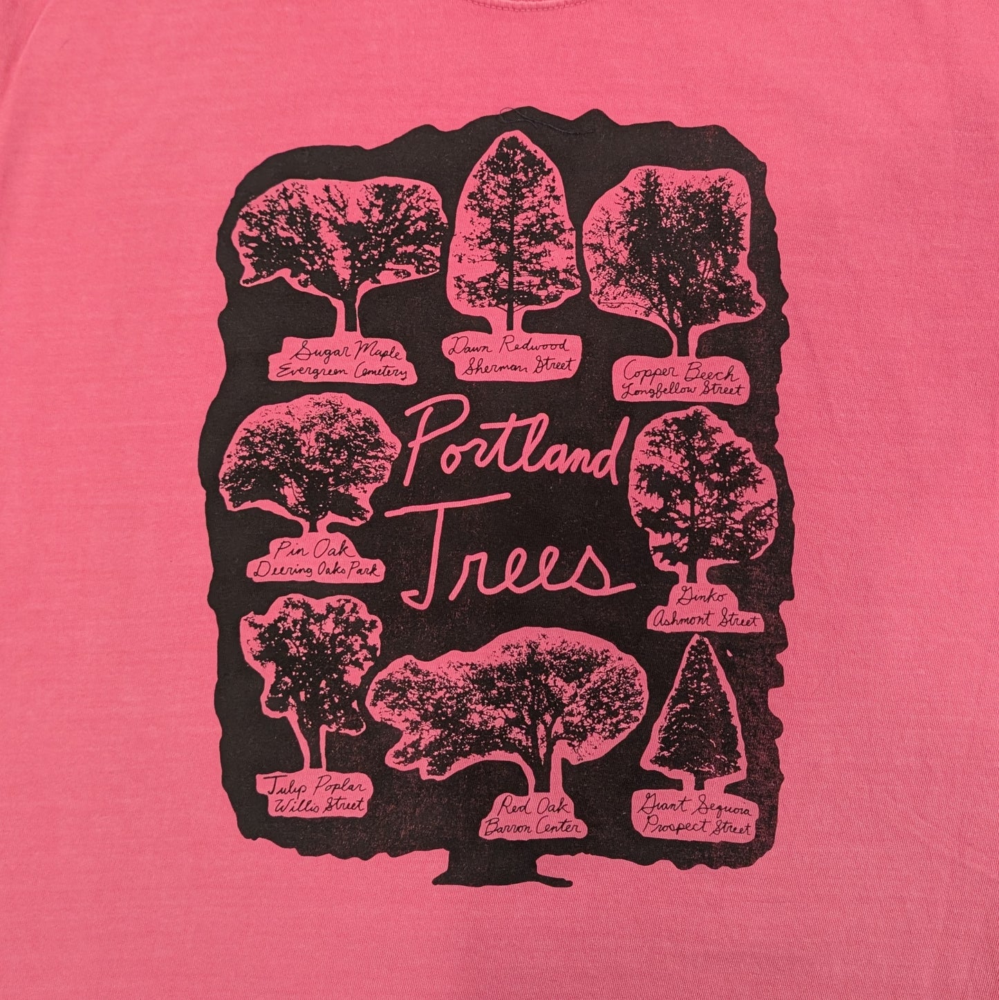 PORTLAND TREES