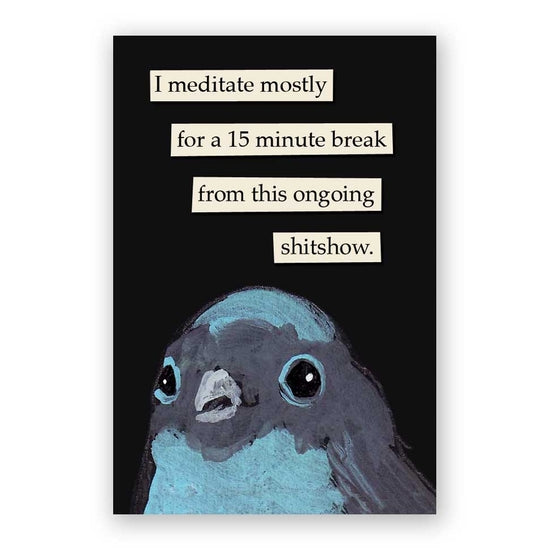 troubled bird magnets