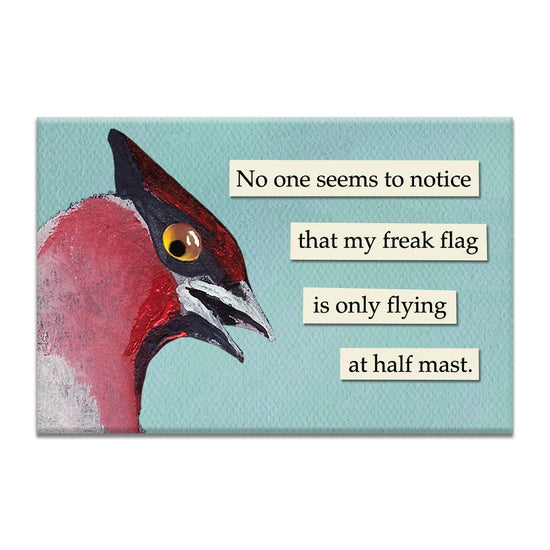 troubled bird magnets