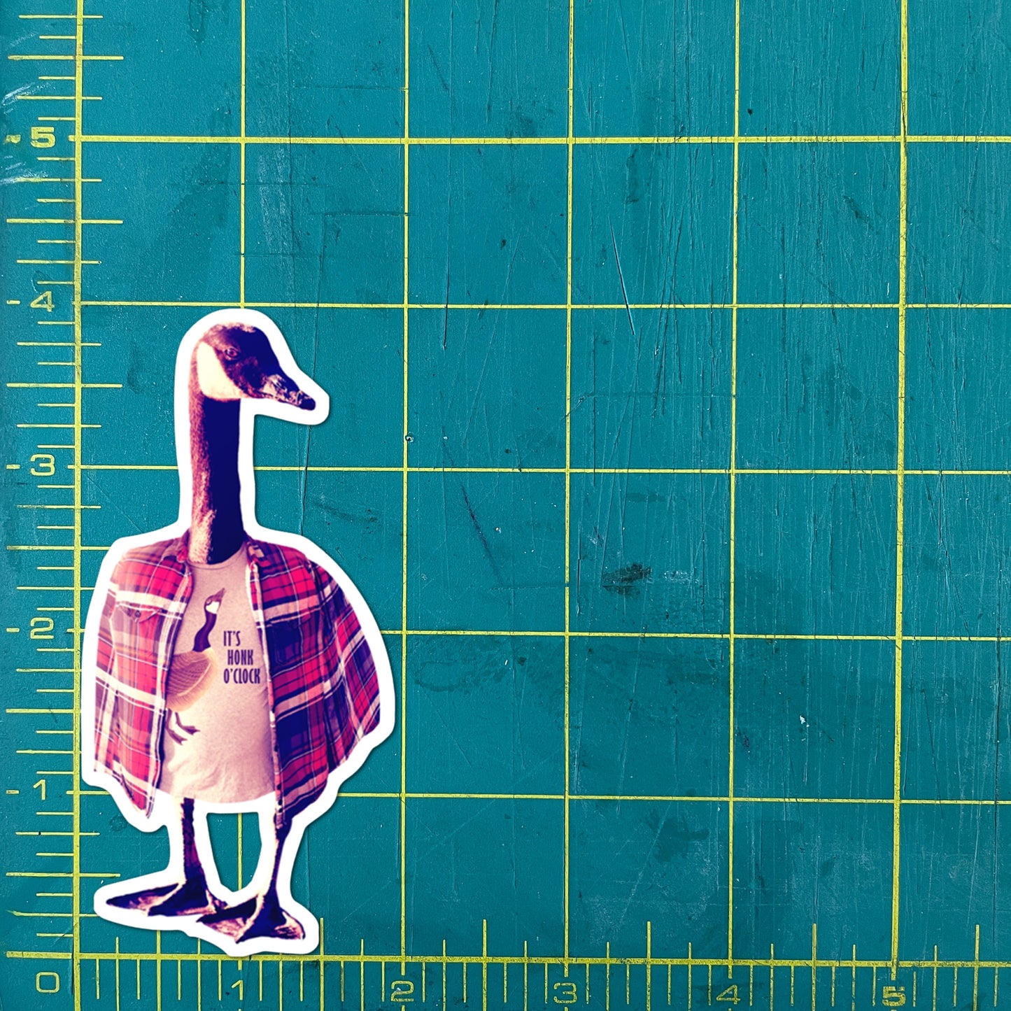 Colossal Sanders animal stickers