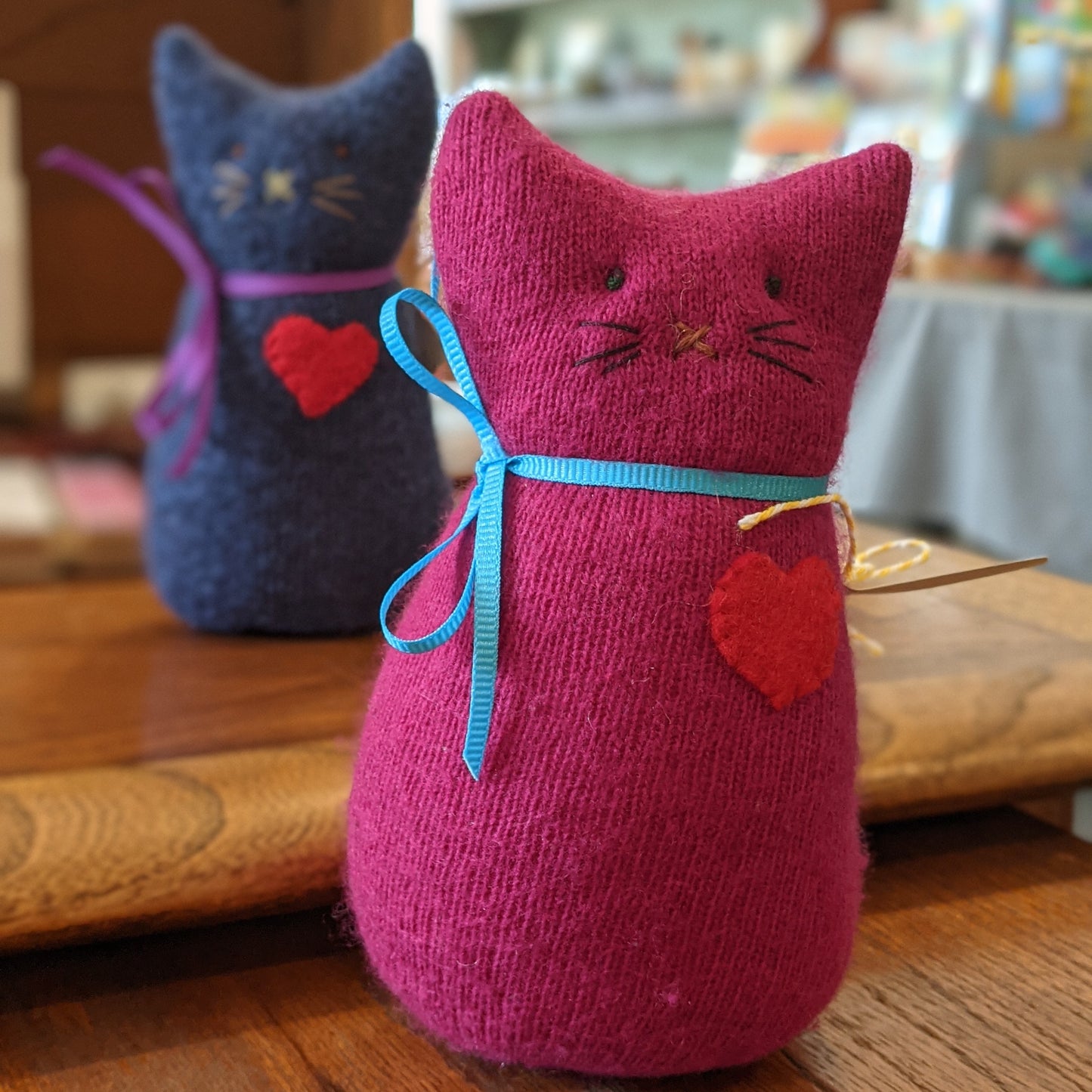 Pocket kitties