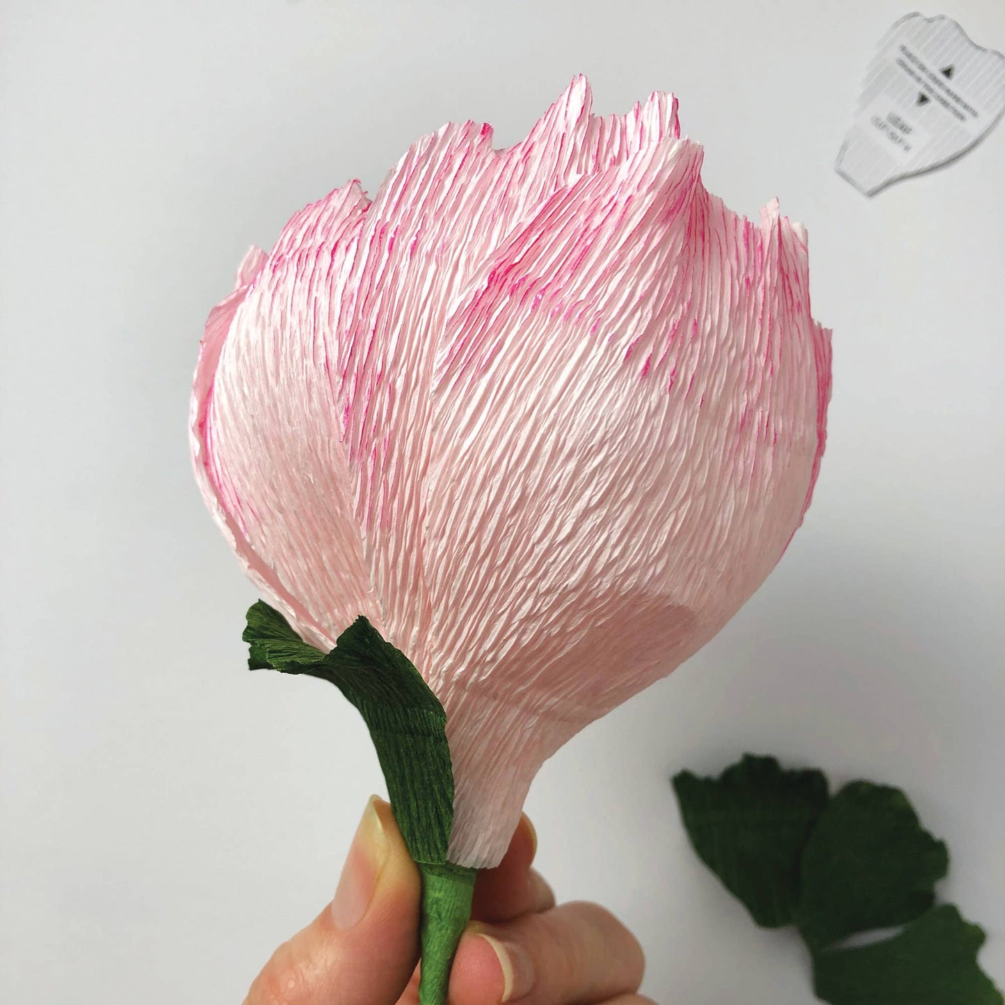 Paper Flower Kit - Peony