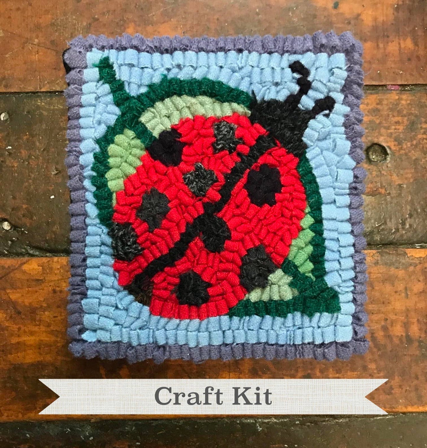 Rug Hooking Kit - Ladybug