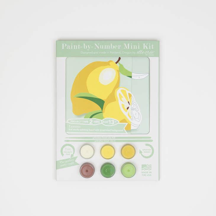 Paint-by-number kits