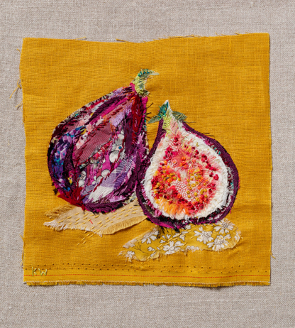 Figs Slow Stitching Kit