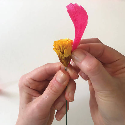 Paper Flower Kit - Cosmos