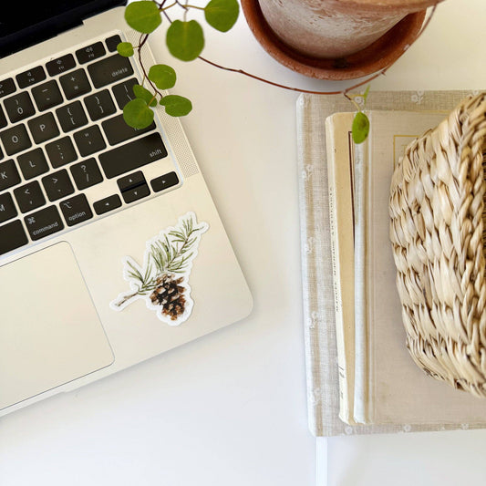 Pinecone sticker