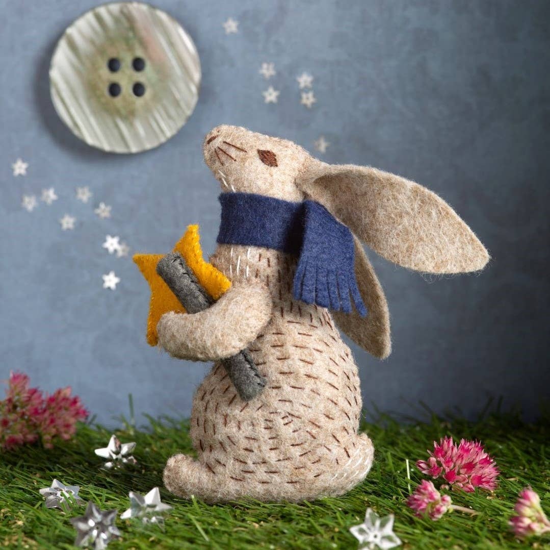 Professor Hare Stargazer Felt Craft Mini Kit