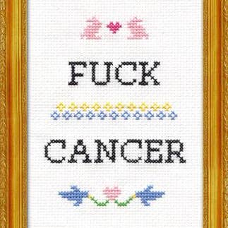 Subversive Cross Stitch kits