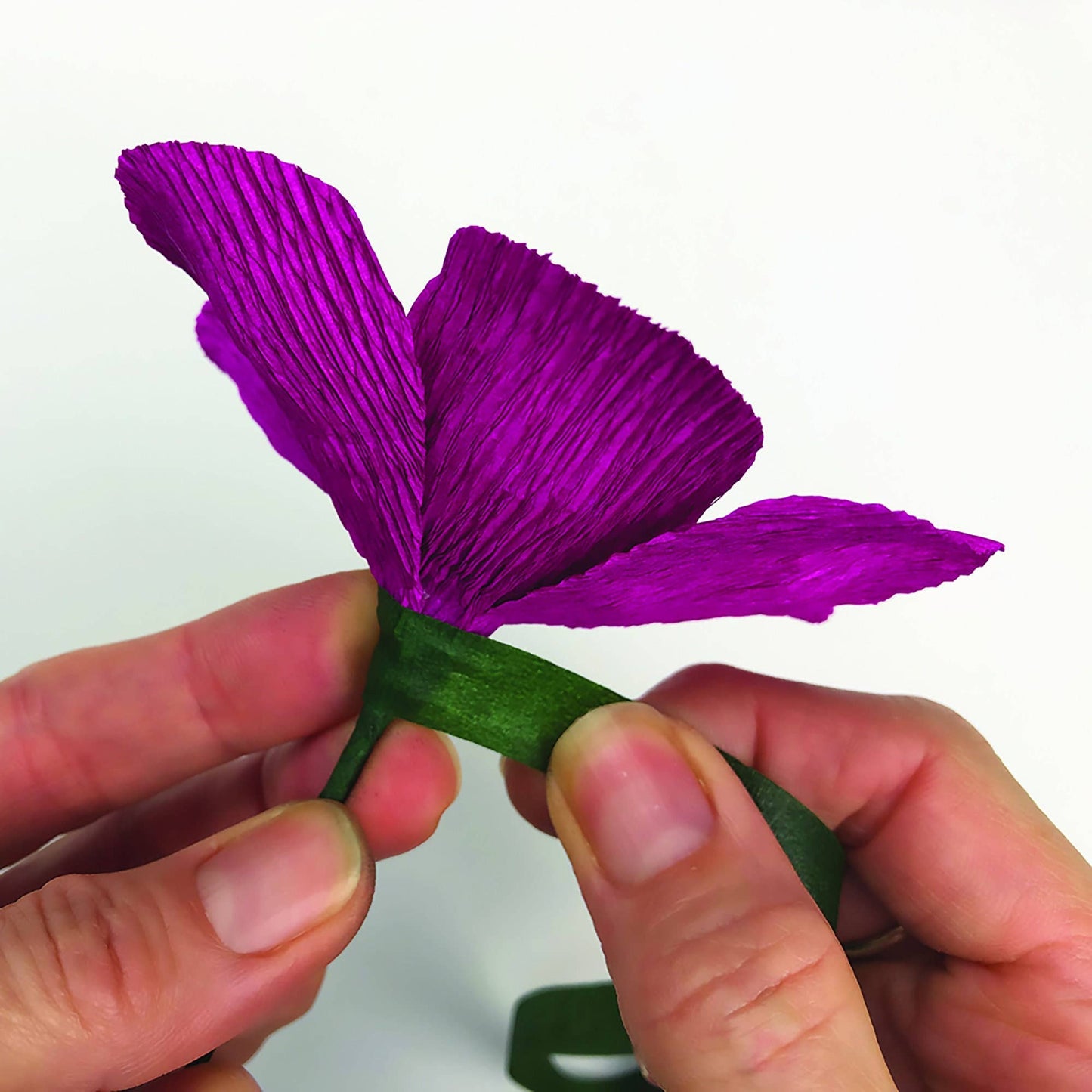Paper Flower Kit - Anemone