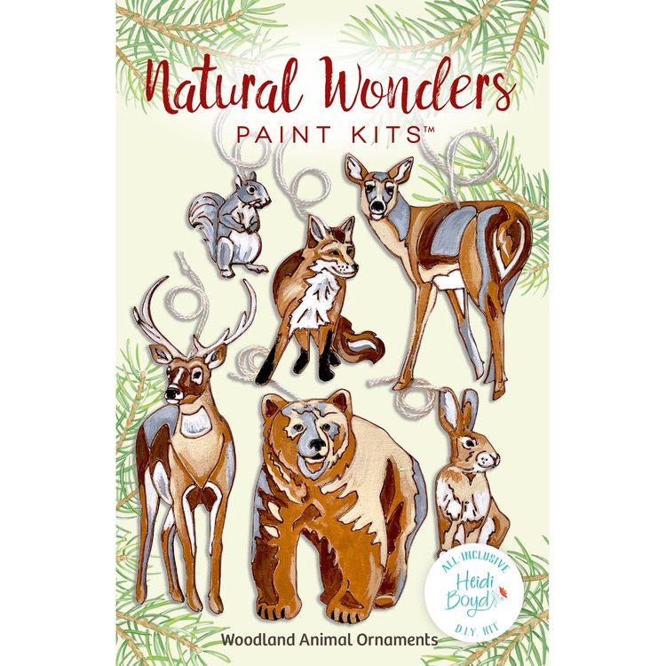 Natural Wonders paint kits