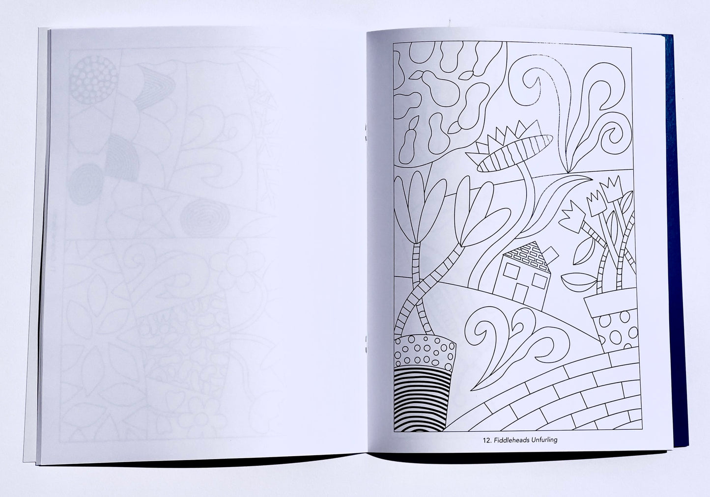 Lisa Houck Coloring Book