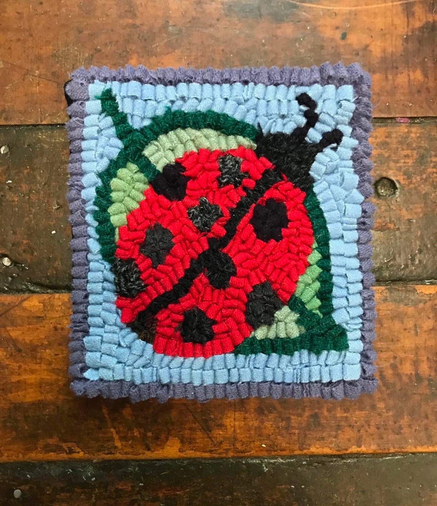 Rug Hooking Kit - Ladybug