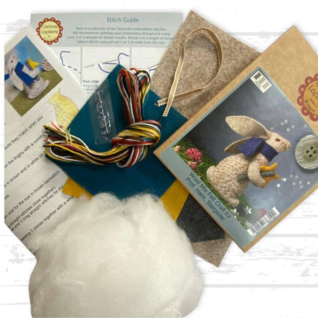 Professor Hare Stargazer Felt Craft Mini Kit