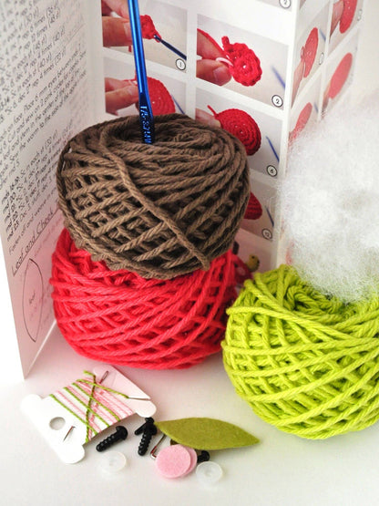 Apple DIY Crochet Kit