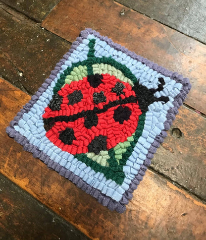 Rug Hooking Kit - Ladybug