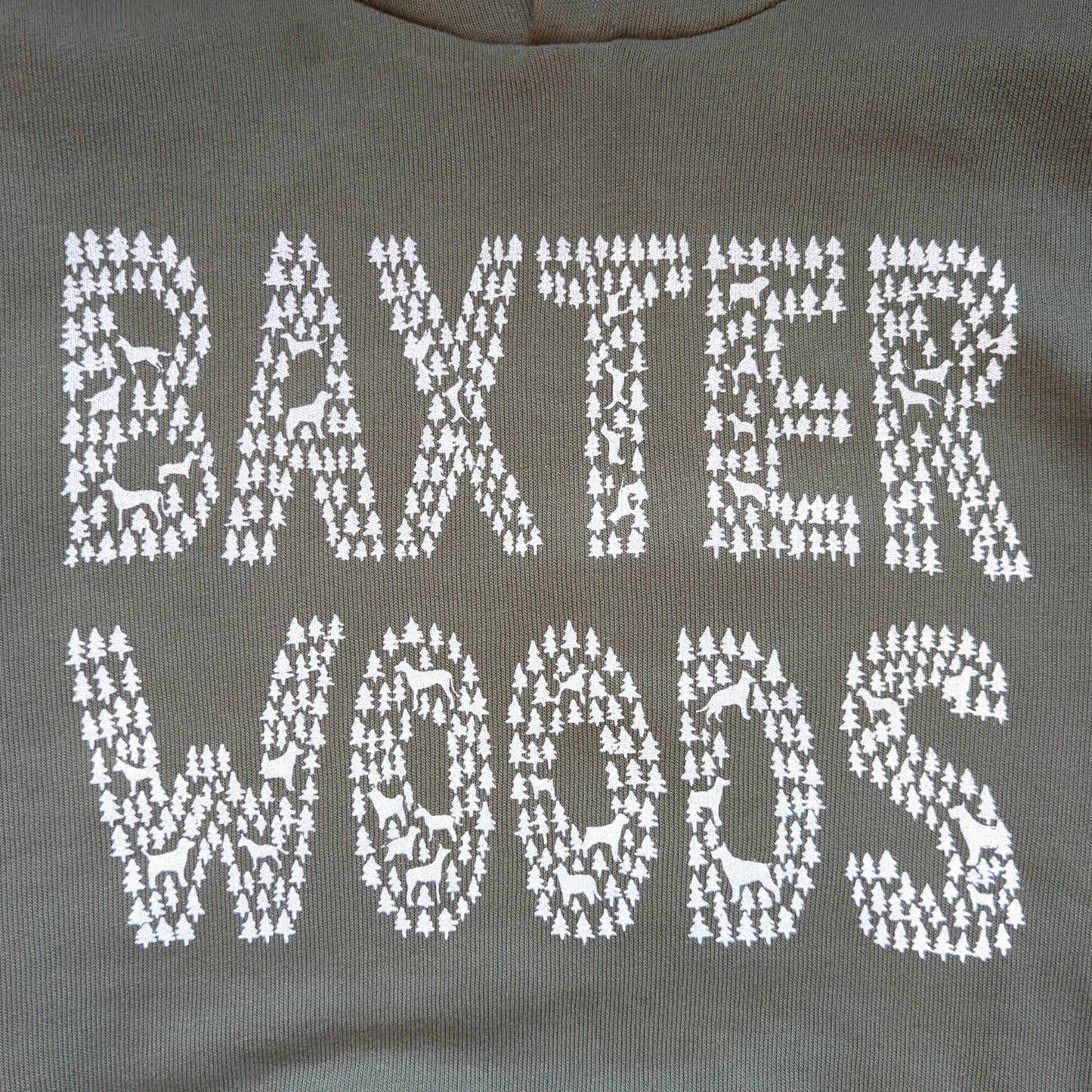 BAXTER hoodie