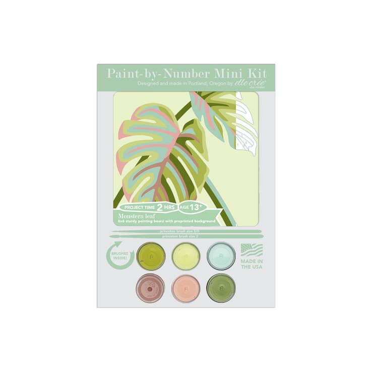 Paint-by-number kits