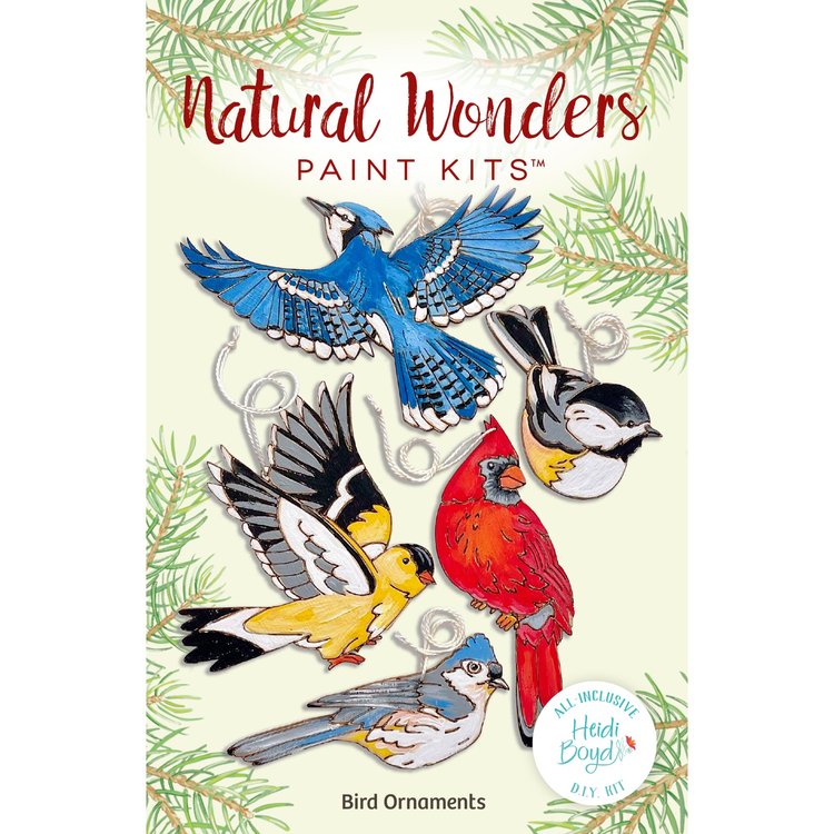 Natural Wonders paint kits