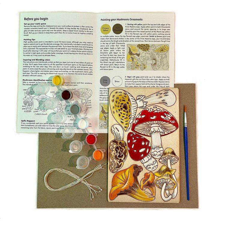 Natural Wonders paint kits