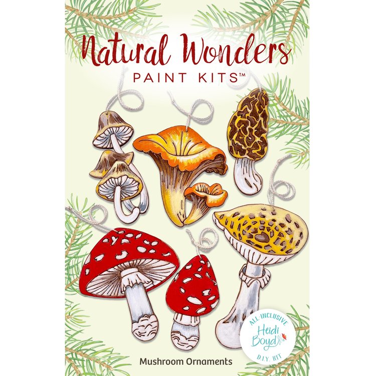 Natural Wonders paint kits