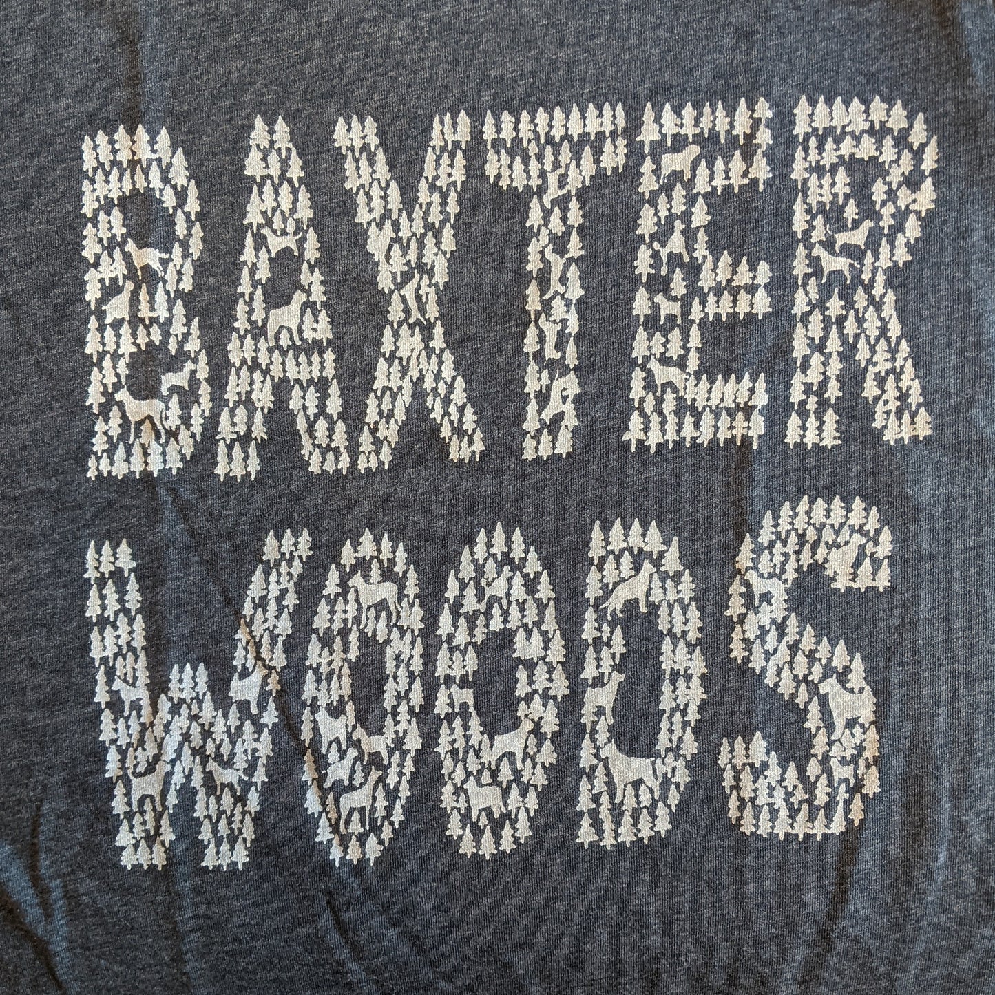 BAXTER classic fit tee