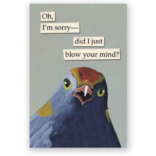 troubled bird magnets