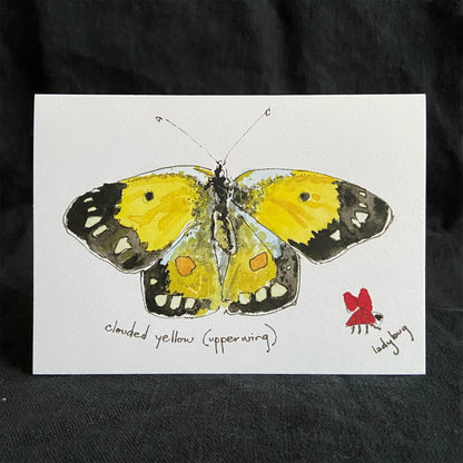 Studio Vrylena butterfly greeting cards