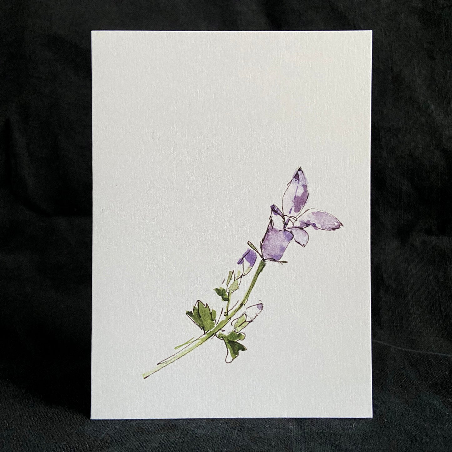 Studio Vrylena floral greeting cards