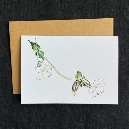 Studio Vrylena floral greeting cards