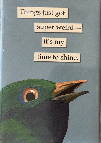troubled bird magnets